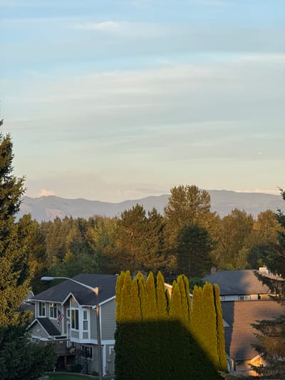 The image depicts a residential neighborhood in Kent, Washington, USA, with a backdrop of forested hills and distant mountains under a soft, overcast sky. In the foreground, several houses are visible, their roofs casting shadows. One house, painted a neutral gray, features white trim and multiple windows, with an American flag displayed on its facade. Tall evergreen trees, some brightly lit by sunlight and others in shadow, stand prominently in the scene. Beyond the houses, a dense forest covers the landscape, leading to a range of rolling hills that transition into larger mountains in the distance. The overall atmosphere is calm and serene, characteristic of a suburban setting at dusk or dawn.
