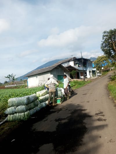 The image shows a rural roadside scene. Two men stand next to stacked, wrapped produce bags (likely vegetables) on the side of a narrow asphalt road in Ein Chay Hnit Se, Myanmar. One man wears a light-colored shirt and dark pants, while the other wears a light head covering and a light-colored long-sleeved shirt. A motorcycle is parked on the road next to them. To the left are rows of crops growing in a field. In the background are houses and a distant mountain. The sky is partly cloudy.