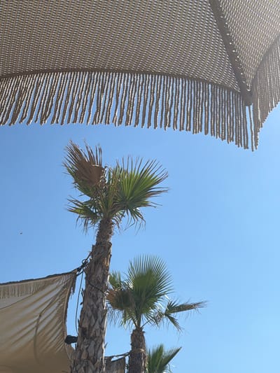 This image captures a low-angle view of palm trees against a clear blue sky, suggesting a sunny day. In the foreground, a portion of a thatched-roof umbrella with fringed edges is visible at the top. Below this, two palm trees stand out, with one being more prominent and bearing some dried fronds. A beige fabric shade structure is also partially visible on the left side, attached to a palm tree with ropes. The scene appears to be at Ofrynio Beach, Greece, a location known for its coastal scenery. A tiny bird is seen in flight in the upper left portion of the frame. The overall impression is one of a relaxed, outdoor setting, possibly a beach resort or a similar establishment.
