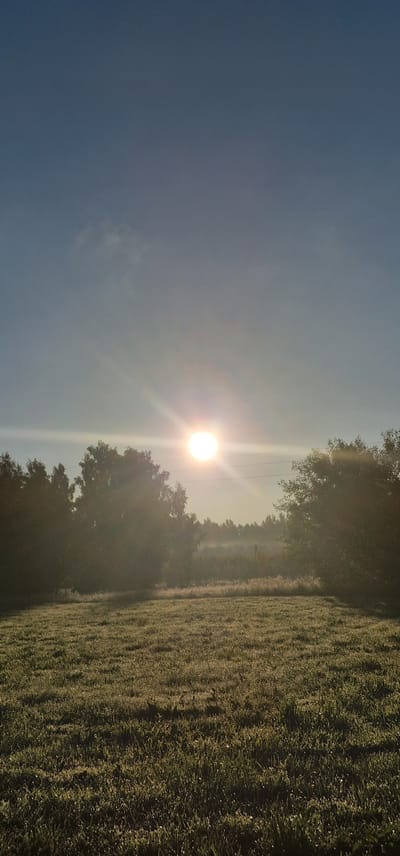The image depicts a tranquil rural landscape under a clear blue sky with the sun shining brightly. The sun is positioned in the upper middle of the frame, casting a bright glow and visible light rays. In the foreground, a grassy field is covered in dew, sparkling in the sunlight. A line of trees forms a dark silhouette across the middle ground, with some trees appearing lighter due to sunlight filtering through them. In the distance, a light mist hovers over a more densely wooded area, suggesting a forest. The scene appears to be a natural setting, possibly an open field bordering a wooded area, typical of the countryside. Based on the context provided, this scene is located in Vārzas, Latvia, likely a rural area known for its natural beauty.
