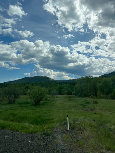 The image depicts a natural landscape in Bol'shoe Goloustnoe, Russia, under a partly cloudy sky. The upper half of the frame is dominated by a dynamic sky featuring large, white cumulus clouds interspersed with patches of bright blue sky. Some darker grey clouds are also visible, particularly towards the right side.
The middle ground presents a series of forested mountains or large hills with dense green foliage, indicating lush vegetation, likely during spring or summer. Below the mountains, a wide expanse of vibrant green grassland stretches towards the foreground. Several smaller, bushy trees or large shrubs with dark green leaves are scattered throughout this grassy field.
In the immediate foreground, a dark grey to black gravelly surface, consistent with a roadside or unpaved area, occupies the bottom portion of the image. Sparse green vegetation, including blades of grass and small plants, grows within this gravel. A white marker post with a dark top is prominently situated upright in the grassy area adjacent to the gravel, in the lower right quadrant of the image. No people, animals, or other man-made structures are visible. The scene is illuminated by natural daylight, suggesting a daytime setting.
