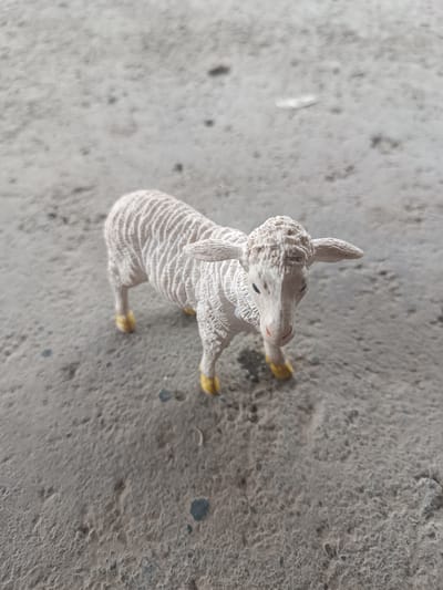 A plastic toy sheep with white wool and yellow hooves stands on a gray, rough, and textured surface. The surface appears to be concrete or asphalt, with some small pebbles and dark stains visible. The lighting suggests an outdoor, daytime environment. The toy sheep is facing forward, with its head slightly tilted to the right. The background is blurred, indicating a shallow depth of field. There are no people present in the image. The location is not specified in the image.