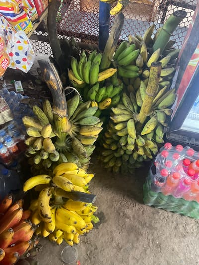 The image depicts a roadside stall in Purbachal, Bangladesh, laden with bananas of varying ripeness: green, yellow-green with brown spots, and bright yellow, along with red bananas. These bananas are bunched together. Adjacent to the bananas are a bag of assorted beverages in plastic bottles, snack foods, and bottled water. The stall appears to be constructed from metal mesh and other materials. The ground is uneven and concrete.
