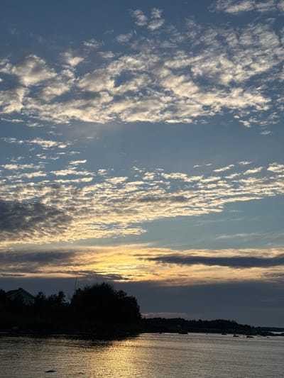 The image depicts a coastal landscape at sunset, likely in Rohuneeme, Estonia, given the provided context. The sky is dominated by a gradient of blue to orange hues, with a band of dramatic, textured clouds stretching across the horizon. These clouds are illuminated from below by the setting sun, creating a striking contrast between light and shadow.
In the foreground, a body of water, possibly the Baltic Sea, reflects the warm colors of the sunset, creating a shimmering surface. The water appears calm, with gentle ripples. Along the coastline, a dark silhouette of trees and vegetation lines the shore, obscuring the ground detail. A solitary, light-colored building, possibly a house, is partially visible amongst the trees on the left side of the frame. Scattered rocks are visible along the edge of the water and extending into it. The overall atmosphere is serene and tranquil, characteristic of a coastal sunset. There are no people or visible actions in the image.