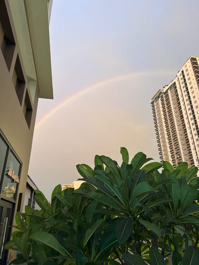 This low-angle, wide shot captures a sliver of a rainbow arcing across a pale sky. The perspective is unusual, making the surrounding buildings appear to hang upside down. In the upper right, a dense cluster of vibrant green leaves from a tropical tree dominates the frame, obscuring part of a building. The building's facade is a repeating pattern of windows and balconies, suggesting a residential or office complex. In the lower part of the image, the edge of a contemporary building is visible, with clean lines and geometric openings. The sky's soft, diffused light indicates it might be early morning or late afternoon. The presence of the rainbow, the lush foliage, and the modern architecture suggest an urban setting in a tropical or subtropical climate, consistent with the provided location context of Khan Mean Chey, Cambodia. The scene evokes a sense of calm and wonder, with the natural phenomenon of the rainbow juxtaposed against man-made structures. No text is visible in the image.