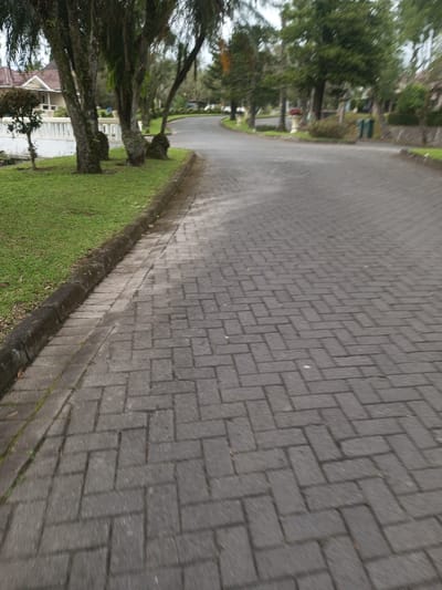 A paved brick road curves through a residential area. Lush green grass borders the road's edge, contrasting with the grey brickwork. Several trees line the roadside, adding to the scenic atmosphere. A white house with a gabled roof is visible in the background, partially obscured by the trees. The road appears well-maintained and peaceful, suggesting a quiet neighborhood.