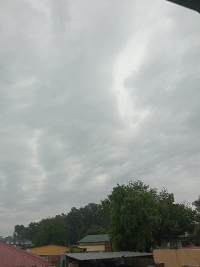 An overcast sky dominates the view, filled with layers of gray clouds. Below the clouds, a row of trees with lush green foliage lines the horizon. Patches of building roofs with varying colors like yellow and red appear beneath the trees. The image is rotated and the horizon is vertical, with the sky taking up the majority of the frame.