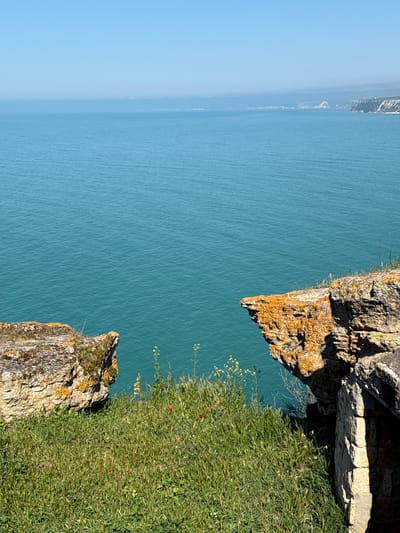 The image is a high-angle shot looking down from a cliff overlooking the Black Sea, likely captured from near Balgarevo, Bulgaria. The right side of the image shows a rocky cliff edge covered with green vegetation, including grass and small flowering plants. The rocks are textured and show patches of orange lichen. The left side of the image consists mostly of the calm, blue-green water of the Black Sea, stretching to the horizon under a clear, pale blue sky. The coastline is visible in the distance, obscured by atmospheric haze. No people are visible.