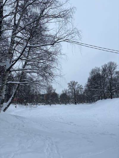 This image displays a snow-covered urban landscape in Furmanov, Russia, under an overcast sky. The foreground and midground feature a vast expanse of snow, marked by numerous footprints and trails. To the left, a large birch tree with prominent white bark and snow-laden bare branches partially frames the scene. Other deciduous trees, also bare and snow-dusted, populate the left and central midground. A flat, open area of snow-covered ground extends centrally, bordered by a gentle snowy rise on the right. Across the midground, a line of short, light-colored posts or bollards is visible. In the background, a dense stand of dark, leafless trees forms a natural barrier, behind which a multi-story residential building is partially visible on the left. Two dark, parallel overhead lines traverse the upper sky from left to right. No individuals are present.