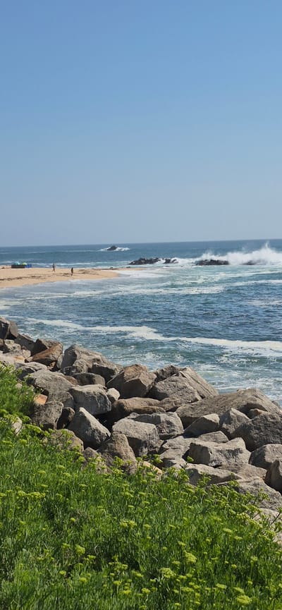 This is a vertically oriented, eye-level, medium shot of a rocky coastline with the ocean and a sandy beach. The sky takes up the left third of the image and is a clear, pale blue, suggesting a sunny day. The middle section of the image features the ocean with white waves crashing against a series of dark, rocky outcrops. The water is a vibrant turquoise and blue. Beyond the rocks, a sandy beach is visible, with several people walking or standing on it, and some blue and green beach umbrellas. The right third of the image is dominated by a dense green bush with small, light green buds or flowers, growing in front of a wall of large, grey, irregular rocks. These rocks appear to form a man-made structure, possibly a breakwater or seawall. The overall impression is of a scenic coastal landscape on a clear, warm day. The specific location is Vila do Conde, Portugal.