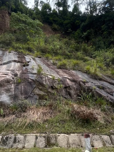 The image depicts a steep, rocky slope covered in lush green vegetation, predominantly grass and trees. The rock face itself is weathered, with visible strata and dark, damp patches suggesting recent rainfall. The lower part of the image shows a concrete barrier with grassy areas alongside, indicating it is likely a roadside embankment. A small red-topped post is visible near the right edge of the barrier, possibly marking a road or boundary. The overall environment is natural and appears to be located in a mountainous or hilly region. The location is identified as Nam Khanh Vinh, Vietnam, suggesting a rural or semi-rural setting within the country. No people are present in the image.