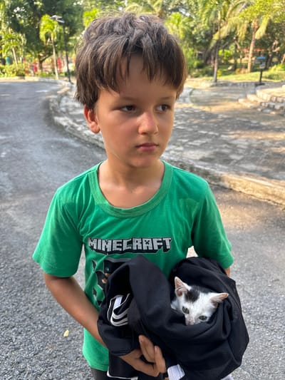 A young boy in a green t-shirt stands outdoors, looking slightly to the right. He is holding a small black bag or pouch in his arms, in which a black and white kitten is visible. The kitten has wide, green eyes and appears to be nestled within the bag. The background shows a paved pathway with some decorative concrete edging, surrounded by lush greenery including palm trees and other tropical vegetation. The overall impression is of a warm, sunny day in a park-like or garden setting, likely within the city of Thuận Nam, Vietnam.