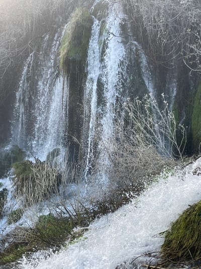 The image displays a natural waterfall within Zvirići, Bosnia and Herzegovina. Multiple vigorous streams of white, turbulent water cascade down a dark, wet, rocky cliff face, producing considerable spray and foam, particularly in the lower sections and foreground. Patches of vibrant green moss and other verdant vegetation cling to the damp rock surfaces, visible between and behind the descending water. Numerous bare, light-brown deciduous branches and shrubs are present throughout the scene, with some appearing partially obscured by water mist. A hazy, bright light source is evident in the upper left portion, contributing to a diffused atmospheric effect. No human subjects or artificial structures are observed within the frame.