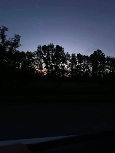 A silhouette of a line of trees is visible against a twilight sky, which transitions from deep blue at the top to a lighter hue with hints of orange and pink near the horizon. The trees are dark and dense, with their branches creating an intricate pattern against the fading light. The lower portion of the image is consumed by darkness, suggesting either the ground or a shadow. There are no people or discernible actions taking place. The scene appears to be a natural landscape, possibly on the outskirts of Elanda, Russia, at dusk.