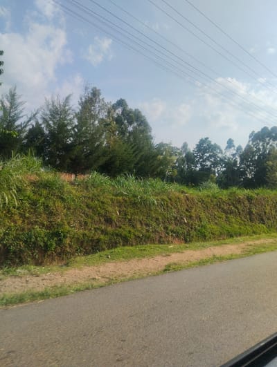 The image depicts a daytime roadside scene in Isukha North ward, Kenya. The upper frame is dominated by a blue sky with scattered white cumulus clouds, traversed by multiple parallel overhead power lines. A dense, verdant line of mature trees, including both conifers and broadleaf species, forms the distant horizon. Below the treeline, a steep earthen embankment, heavily covered in green grass and various shrubs, rises. At the base of this embankment, a narrow, unpaved dirt shoulder with sparse vegetation is visible. The lower third of the image features a dark grey asphalt road, devoid of visible lane markings, extending diagonally from the lower left to the right. A dark, indistinct edge, consistent with a vehicle interior, is present in the extreme lower right corner. No people, animals, or discernible actions or interactions are depicted within the frame.
