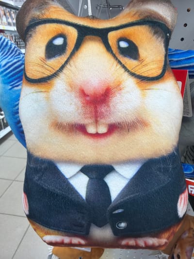 The image shows a pillow of a hamster wearing glasses and a suit. It appears to be sitting on a shelf in a store. The image does not include the location in the city of Murmansk, Russia.
