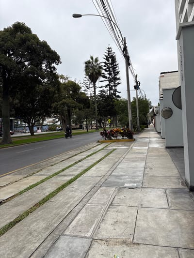 The image depicts a street scene in Magdalena del Mar, Peru. The view is oriented along a street with trees lining both sides, under an overcast sky. A motorcycle is traveling down the street. Sidewalks with grass strips run along the sides of the street. Utility poles and wires are visible above the trees. Buildings are present on both sides of the street, including one with a circular architectural detail. The sidewalks are constructed of grey concrete slabs.