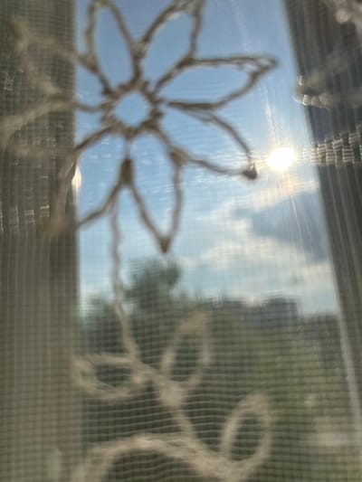 The image appears to be taken through a window with a decorative crocheted or lace curtain. The focus is soft, giving a blurred appearance. Outside the window, the scene includes a bright sky, possibly with clouds, and some indistinct greenery, potentially trees or other vegetation. The mesh pattern of a screen is also visible. It is impossible to confirm the location is in the city of Dmitrievskaya, Russia or provide more detailed information based on the provided image alone.