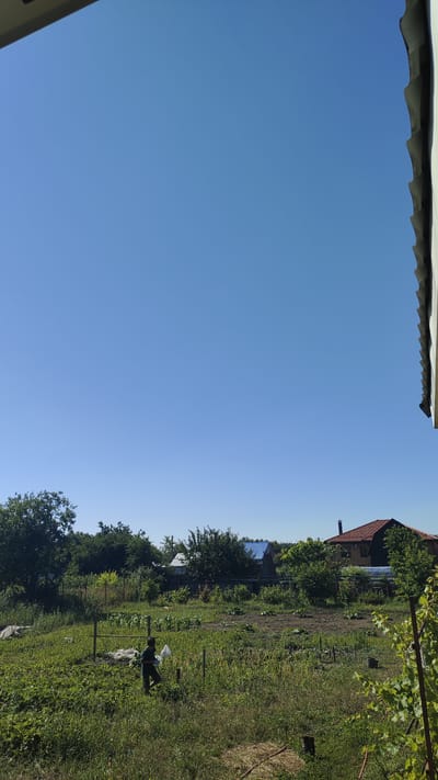 A person is standing in a rural garden, holding a white plastic bag. The garden is overgrown with grass and various plants, with some crops visible in the background. There are several houses and trees surrounding the garden. The sky is clear and blue. The image appears to be taken during the daytime.