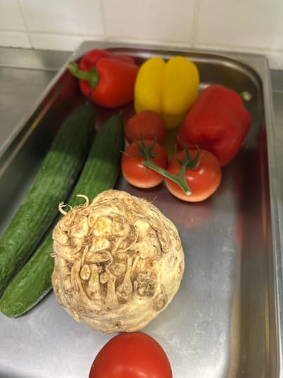 The image shows a variety of fresh produce arranged in a stainless steel sink. The vegetables present include two green cucumbers, a celery root (celeriac), three red tomatoes (two still on the vine), a red bell pepper, and a yellow bell pepper. The sink is located in Neumünster, Germany. There are no people visible in the frame.