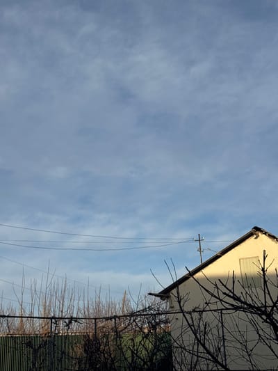 This image captures an outdoor scene in Apshak, Uzbekistan. The upper two-thirds of the frame feature a light blue sky with scattered, thin white clouds. Multiple dark utility wires extend horizontally across the mid-ground. Below these wires, a row of bare deciduous trees, devoid of leaves, stands in front of a dark green corrugated metal fence. To the right, the upper section of a light-colored building, likely stucco, with a dark-tiled roof is visible. The building's wall exhibits a distinct shadow line, indicating illumination from direct sunlight originating from the upper left. A rectangular window with vertical louvered covers is present on the shadowed portion of the wall. A wooden utility pole, equipped with a crossarm and insulators, is positioned near the roofline of the building. In the immediate foreground, dark, bare tree branches and shrubbery partially obscure the fence and the lower part of the building. No individuals or active movements are depicted.