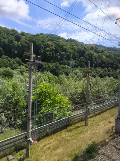 This is a landscape image captured from a moving vehicle, likely a train, showing a lush, green mountainside covered in dense trees under a bright blue sky with scattered white clouds. In the foreground, a tall, concrete utility pole with electrical equipment is visible, positioned alongside a metal guardrail and fence. The terrain slopes upwards towards the treeline, with dry, yellowish grass covering the ground in front of the guardrail. Power lines crisscross the upper portion of the image against the sky. There are no people or animals visible in the scene.