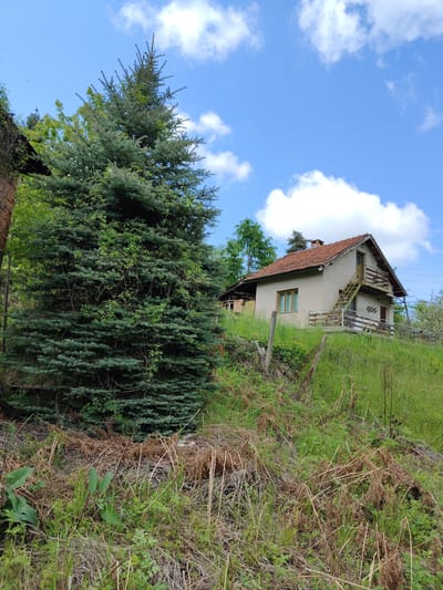 The scene depicts a rural landscape in Dedovo, Bulgaria. A two-story, light-colored house with a red tile roof sits on a grassy hill. The house features a wooden balcony and stairs leading to the upper level. A large evergreen tree stands to the left of the house, partially obscuring a dilapidated brick structure. The foreground is filled with overgrown vegetation, including grass and ferns. A chain-link fence runs along the hillside. The sky is blue with scattered white clouds. No people are visible in the image. Electrical wires are visible in the sky near the house.