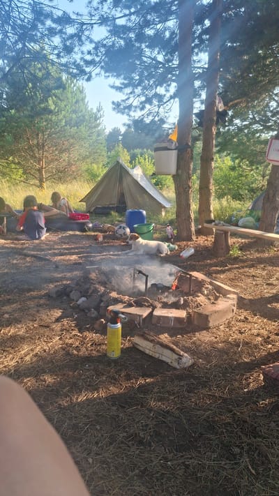 In a wooded area within Навасвержанскі сельскі Савет, Belarus, a campsite is set up with a central fire pit where smoke rises. Several children are seated on a large, dark-colored inflatable raft or mattress. A white dog with brown markings lies down near the fire pit. In the background, a beige tent is pitched, and a large blue plastic barrel and a green bucket are visible. Two trees are prominent in the mid-ground, one with a white bucket hanging from it. The ground is covered with pine needles and dry leaves. A yellow aerosol can and a piece of wood are positioned near the fire pit. A wooden bench is present on the right side of the scene.