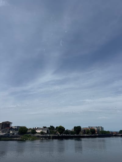 The image depicts the River Shannon in Limerick, Ireland, with the city's skyline visible in the background. The river takes up the lower half of the frame, its dark, reflective surface disturbed by ripples. On the far bank, a mix of buildings lines the waterfront. To the left, a large building under construction, covered in scaffolding, stands prominently. Adjacent to it are several older, traditional-looking houses with white facades and dark roofs. Further to the right, modern apartment buildings with colorful brickwork and balconies rise above the trees, followed by a bridge in the distance. Lush green trees are interspersed among the buildings. Several white birds, likely swans or ducks, are present on the riverbank in the middle ground, and a few birds are visible in flight in the sky. The sky itself is a muted blue, filled with wispy, pale clouds that stretch across the upper portion of the image. The overall atmosphere is calm and overcast.