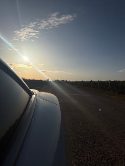 The image depicts a rural scene near Laqsir, Morocco, captured from the left side of a light-colored vehicle during late afternoon or early evening. The upper portion of the frame features a blue sky with scattered white cumulus clouds, dominated by the low sun in the upper left, which produces prominent lens flares. A narrow, dark gray asphalt road, appearing to have a coarse gravel texture, extends into the distance, curving slightly. To the right of the road, a fence line composed of evenly spaced vertical wooden posts runs parallel, separating the road from rows of green, low-lying crops or bushes, indicative of an agricultural area. The left side of the road also shows indistinct vegetation. No people or overt actions are visible.