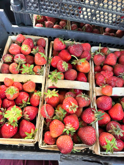 The image displays multiple crates and baskets filled with ripe, red strawberries. The strawberries are the primary objects, presented in various containers, including wooden crates and what appear to be smaller, more delicate baskets made of wood pulp. Some of the strawberries are whole, while others show signs of being cut or having lost their green tops. The scene is set outdoors, likely at a market or farm stand, indicated by the presence of black plastic crates typically used for transport and display. The lighting suggests it is daytime, possibly a sunny day, as there are bright highlights on the fruit. The overall impression is one of abundance and freshness, hinting at a harvest or sale of seasonal produce. There is no visible text in the image. The context provided indicates the location is Kobryn, Belarus.