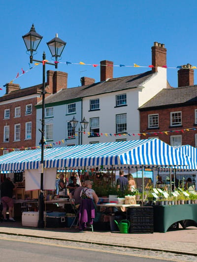 This is a wide-angle, eye-level shot of a market stall in Ludlow, United Kingdom. The stall is covered by a blue and white striped awning. In front of the stall, several people are browsing or working. A man in a black shirt and maroon shorts stands on the left, facing away from the camera. To his right, a woman with blonde hair is visible behind the stall. Further right, a woman with blonde hair tied up in a bun is wearing a floral top and a purple jacket. Several potted plants are displayed on a green table to the right of the stall. The background consists of a row of traditional brick buildings with white window frames. A lamppost with two lamps stands in the foreground, adorned with colorful triangular bunting. The sky above is clear and blue. The market appears to be set up on a paved street.