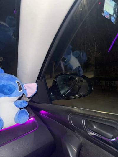 The scene depicts the interior of a vehicle at night, positioned in Skalsko, Bulgaria. In the foreground, a blue and white plush toy resembling Disney's Stitch rests on the dark gray door panel on the passenger side. The door panel features a strip of ambient purple LED lighting. A dark gray door handle is visible below the lighting strip. The white A-pillar is partially visible on the left. Through the car window, a dark exterior environment is visible, dominated by trees with bare branches against a black sky. A black side mirror reflects an indistinct, dark scene. A reflection of another blue plush toy is visible on the exterior side of the car window. A faint, blurry purple light streak is present in the upper right portion of the exterior view. No individuals are visible.