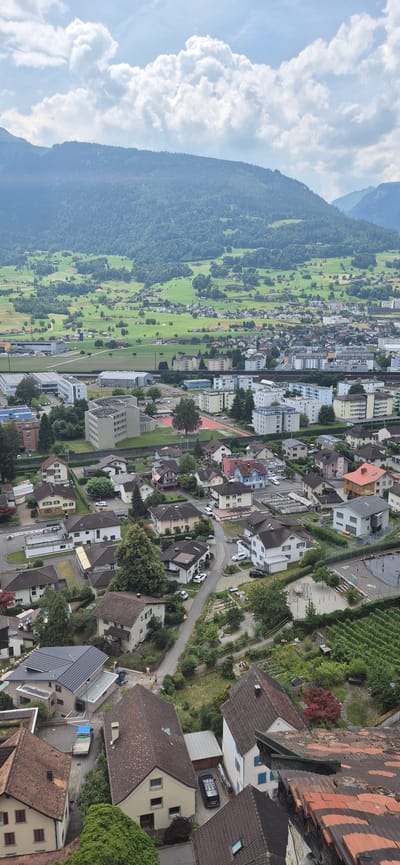 This is a high-angle, long shot photograph of a residential area in Sargans, Switzerland, with a mountain range in the background. The image captures a dense collection of houses with red-tiled roofs, ranging in size and architectural style. Some houses are two-story detached homes, while others appear to be townhouses or apartments. Cars are visible parked in driveways and on the street. The environment is verdant, with trees and gardens interspersed among the buildings. In the middle ground, there is a sports field with a running track, and beyond that, a valley with rolling green hills and scattered buildings. The sky is partly cloudy, with large white cumulus clouds. The mountain range in the background is covered in lush green trees.