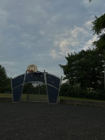 The image depicts an outdoor basketball court area with a backboard and hoop mounted on a curved, dark blue structure. The court surface appears to be dark, granular material. Behind the basketball structure, there is a metal gate leading into a grassy area. To the right, a large, mature tree with dense green foliage dominates the scene, partially obscuring a cloudy sky. In the foreground, the ground is covered in the same dark, textured surface as the court. The overall environment suggests a public park or recreational area. There are no people visible in the image. The location is not specified as Roskilde, Denmark in the image or crops.