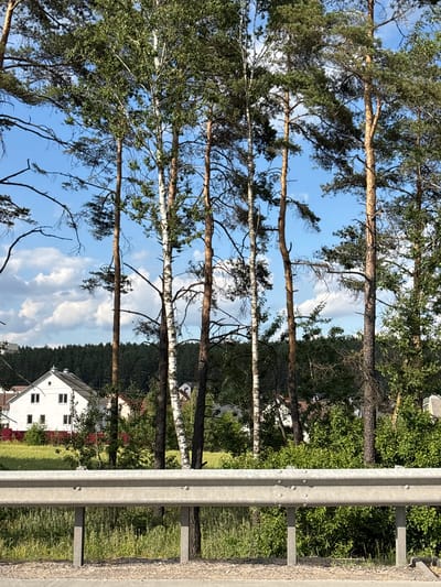 The image captures a view through trees and a roadside guardrail, with a rural Belarusian landscape in the background. Tall, slender trees, including pines and birches, dominate the foreground, their branches reaching towards a bright blue sky with scattered white clouds. The sky suggests it's daytime, likely late morning or afternoon given the lighting.
In the middle ground, glimpses of white houses with red roofs are visible amongst dense green foliage and mature trees, indicating a residential area or village setting. The houses have multiple windows, suggesting they are homes. The overall scene evokes a peaceful, rural atmosphere, characteristic of the Belarusian countryside.
A prominent feature on the right side of the image is a metal guardrail, typical of a road. The guardrail is constructed from corrugated metal and is bolted to support posts, signifying the presence of a road nearby. The ground beneath the guardrail is covered in gravel and grass.
The image has been rotated 90 degrees clockwise, so the scene appears sideways. There is no visible text in the image. The weather appears clear and sunny, contributing to the pleasant and tranquil mood of the scene. The location context provided, Лугаваслабадскі сельскі Савет, Belarus, confirms the rural European setting.