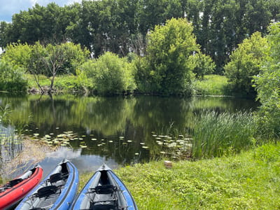 Three inflatable kayaks, one red and two blue, are lined up on a grassy bank next to a dark, reflective body of water. The kayaks are positioned in the foreground, with their bows pointing towards the water. The water is calm and shows reflections of the lush green trees that line the opposite bank. Lily pads are scattered on the surface of the water near the kayaks. The trees on the far bank are dense and varied, with some appearing as tall, dark green giants and others as lighter, more vibrant green bushes. The sky above is partly cloudy. The scene appears to be a natural, tranquil setting.