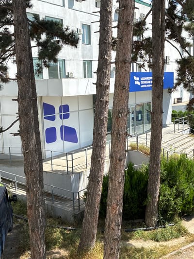 A medium-shot, high-angle, outdoor, daytime, slightly overcast photograph shows the facade of a modern building with a bright blue sign that reads "GEORGIAN CI" in English, and Georgian script above and below it. The building is white with a series of windows. A large blue logo, resembling four interconnected shapes, is visible on the left side of the building's exterior. In front of the building, there are several pine trees with visible trunks and branches, partially obscuring the view. The foreground is filled with dry grass and some green bushes. A dark-colored van is partially visible on the far left. Metal railings and concrete steps lead up to the building's entrance. The overall scene suggests an institutional or corporate building located in a somewhat unkempt outdoor environment. The image was taken in Khashuri, Georgia.