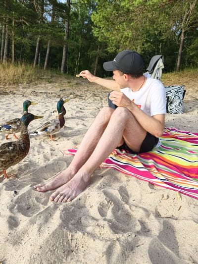 A man is sitting on a beach, on a striped blanket, in Motala, Sweden. He is wearing a white t-shirt, black shorts, and a black baseball cap. He is holding a small piece of food in his outstretched hand, seemingly offering it to three ducks that are standing on the sand in front of him. The ducks are mallards. Behind the man, there are trees and beach bags. The sand is light brown and dry.