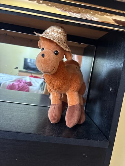 Within an interior setting in Vrnjacka Banja Municipality, Serbia, a plush, light brown camel toy wearing a small woven straw hat stands on a dark, possibly black, wooden shelf. The camel faces forward, displaying stitched facial features. The back of the shelf unit is a mirrored surface, reflecting a bedroom scene. This reflection reveals a bed covered with white bedding, upon which a pink garment or item of fabric is placed. Further in the reflection, a television screen is visible. The mirror surface contains several dark smudges and dust particles. Above the camel, the top interior edge of the shelf unit features a golden-colored trim that reflects distorted elements from above, possibly ceiling decor. The dark shelf surfaces supporting the camel show minimal dust accumulation. No human subjects are present in the image.
