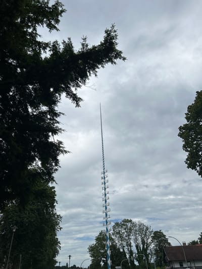 The image depicts a tall, slender Maypole (Maibaum) located in the city of Schongau, Germany. The pole is centrally positioned, extending high into an overcast sky dominated by grey clouds. It features a distinct spiral pattern of blue and white stripes along its entire visible length. Several white, cutout-style emblems, likely representing traditional trades or guilds, are affixed to the lower half of the pole. Dark green foliage from large trees frames the scene on the left and right sides of the image, with a significant tree branch extending into the upper left quadrant. In the background, below the horizon line of the pole, additional trees and the roofs of distant buildings, possibly houses, are discernible. Streetlights are visible in the lower left portion of the frame. No individuals are present in the scene.