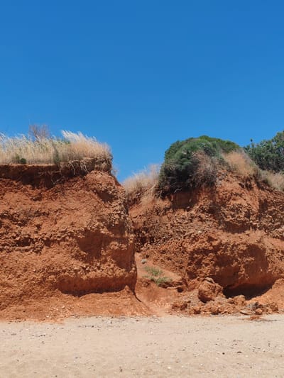 This media file depicts a natural landscape under a clear blue sky, suggesting a daytime setting with fair weather. The scene is dominated by a dramatic, eroded cliff face composed of reddish-brown soil. The cliff is divided by a narrow, V-shaped gully, creating two distinct sections of exposed earth.
The top of the cliff is sparsely covered with dry, wispy grasses and some green vegetation, indicating a semi-arid environment. The soil itself appears to be a clay-rich loam, with visible layers and textures, some sections showing a conglomeration of smaller rocks and pebbles embedded within the clay. At the base of the cliff is a sandy ground, scattered with small stones and shell fragments, suggesting a coastal or beach-like setting.
To the right, the cliff continues and is topped with a denser cluster of green shrubs and trees, contrasting with the drier vegetation on the left. The erosion patterns on the cliff face are prominent, with vertical and horizontal lines indicating the effects of weathering and possibly water runoff.
No people or specific man-made objects are visible. The overall impression is one of a rugged, natural geological formation, likely a coastal cliff. The bright, cloudless sky and the earthy tones of the soil suggest a sunny day, possibly in the warmer months. The location context of Alexandroupolis, Greece, aligns with the type of coastal terrain often found in the Mediterranean region. There is no visible text in the image.