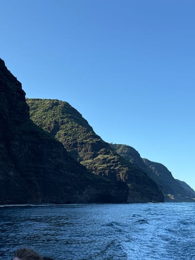 A rugged coastal landscape within the United States. The scene depicts a series of extremely steep, dark rock cliffs rising abruptly from the deep blue ocean under a clear, cloudless blue sky. The cliffs are densely covered with green vegetation, particularly on their upper and sunlit faces, while other sections remain in deep shadow. The coastline extends diagonally from the left foreground into the distant right. The ocean surface in the foreground exhibits ripples and a distinct white wake, indicating the movement of the photographic platform. The top of a human head with light-colored hair is partially visible and out of focus in the extreme lower-left corner. The environment is consistent with a natural, uninhabited coastline, rather than a city.