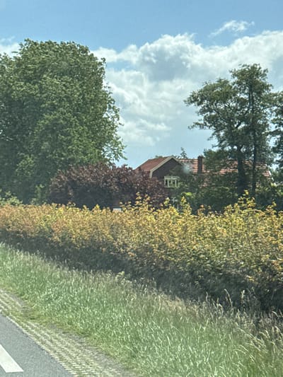 The image depicts a residential house nestled among lush greenery under a partly cloudy sky. The house features a red tiled roof and appears to be a single-story structure with a visible chimney. It is surrounded by mature trees with dense foliage, and smaller shrubs and bushes, some with reddish-brown leaves, further enhance the natural setting. In the foreground, a road with a white line is visible on the left, bordered by a strip of green grass and taller weeds. The overall impression is one of a peaceful, rural or suburban landscape. Based on available information, this image is located in Wierden, Netherlands.