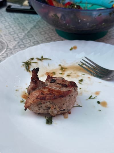 A close-up, eye-level shot captures a partially eaten piece of grilled meat on a white plate. The meat, a light brown with darker seared edges and visible herbs, is positioned slightly left of center. A fork rests to the right of the meat, with its tines pointing towards the upper right. The plate is speckled with remnants of the meal, including small green herb fragments and droplets of sauce. In the blurred background, a large, dark bowl containing a salad with colorful ingredients sits on a patterned tablecloth. The scene is likely a dining setting, possibly outdoors due to the natural lighting. There are no people visible in the image.