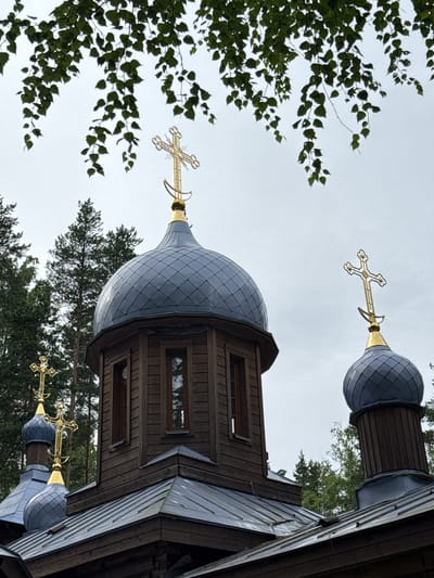 The image depicts the exterior of a wooden Orthodox church in Nenyamyaki, Russia. The church features multiple domes with grey, scale-like roofing, topped with golden Orthodox crosses. The domes are supported by wooden structures. The main building is constructed from dark, weathered wooden planks, with narrow windows. In the foreground, sections of the church's metal roof are visible. Tall pine trees frame the church in the background. Overhanging tree branches with green leaves are present in the upper portion of the frame, creating a natural canopy. The sky is overcast and pale. There are no people or animals visible in the image.