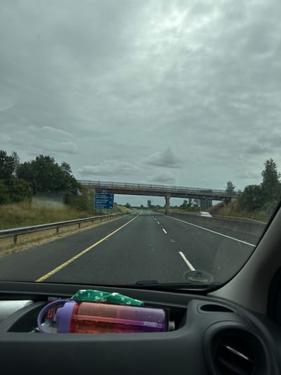 The image depicts a view from inside a vehicle traveling on a highway, likely the M9 motorway, based on the road signs visible. The sky is overcast with heavy clouds. In the distance, a highway overpass with railings crosses the road. A blue road sign is mounted on the overpass, indicating distances to various locations, including "Port Laoise 99 km", "WATERFORD 99", "Cill Chainnaigh (Kilkenny) 59", "Ceannas Mór 59", and "CARLOW 20". The road has two lanes in the direction of travel, with a yellow line marking the center and white dashed lines on the right side. The surrounding environment includes grassy verges and trees on either side of the highway, with a concrete barrier separating the lanes. In the foreground, inside the vehicle, a purple water bottle with a pink gradient and a green cloth with a shamrock pattern are visible in a compartment of the dashboard.