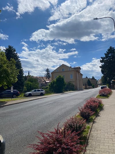 The image depicts a street scene in Osek, Czechia. A paved road runs diagonally from the bottom left to the upper right of the frame. On the left side of the road, there is a sidewalk with parked cars, including a dark-colored SUV and a white station wagon. A bus stop sign is visible near the parked cars. A row of red-leafed bushes lines the right side of the road, bordering a paved sidewalk. Several buildings are visible in the background, including a light-colored, multi-story building on the right and other structures with tiled roofs further down the street. Trees, including tall evergreens, are scattered throughout the scene. The sky is blue with white, fluffy clouds. A streetlamp is present on the right side of the image, extending over the sidewalk. The overall impression is a quiet, residential or commercial street on a sunny day.