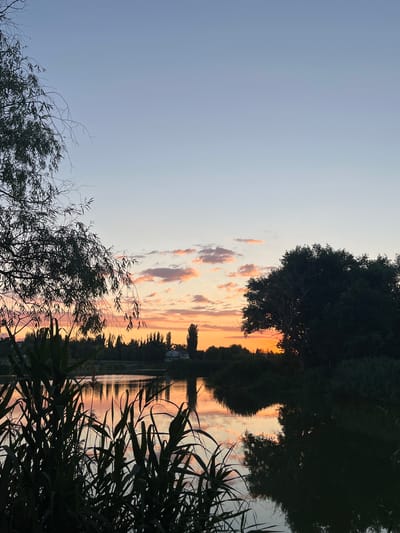 The image depicts a tranquil sunset over a body of water, likely a river or lake, near the city of Kotovo, Russia. In the foreground, dark silhouettes of tall reeds and the branches of a weeping willow tree frame the scene on the left and center. The water reflects the warm hues of the sky, creating a painterly effect with streaks of orange, pink, and pale blue. Across the water, a line of trees forms a dark silhouette against the vibrant sunset. Among these trees, a few taller, slender trees stand out, with one particularly noticeable near the center. In the distance, a white house with a visible roof can be seen on the right side of the frame, partially obscured by foliage. The sky above is a gradient of pale blue, transitioning to soft pink and orange near the horizon, with scattered, wispy clouds catching the last light of the day. The overall impression is one of peacefulness and natural beauty at dusk.