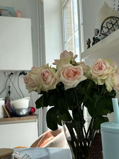 The image shows a bouquet of light pink and white roses with green leaves in a vase or container. The flowers are the primary subject and are placed against a blurred background of a room interior. Elements of the background include white cabinets, a window, and other objects on a countertop. The presence of electrical outlets suggests the image may have been taken indoors. The location in the city of Olginskaya, Russia is not evident from the image.